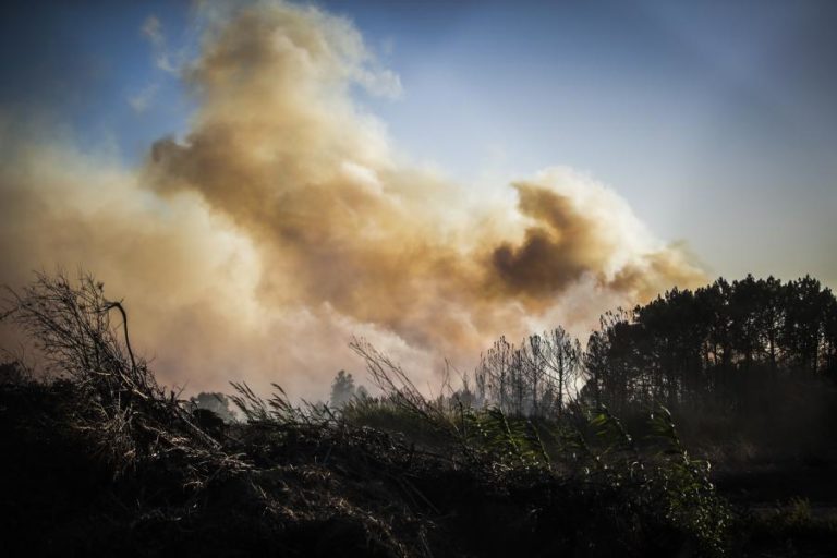 FOGO NO PARQUE NATURAL DAS SERRAS DE AIRE E CANDEEIROS REATIVOU HOJE DE MANHÃ