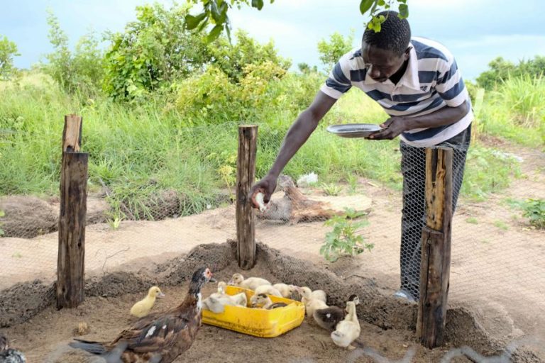 MOÇAMBIQUE/CICLONES: ONG E PARCEIROS LANÇAM PROJETOS AGRÍCOLAS PARA 15 MIL PESSOAS