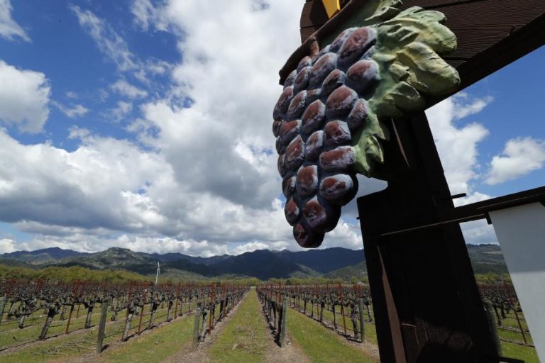 VINHAS DE NAPA VALLEY DEVORADAS PELAS CHAMAS NOS INCÊNDIOS DA CALIFÓRNIA, EUA