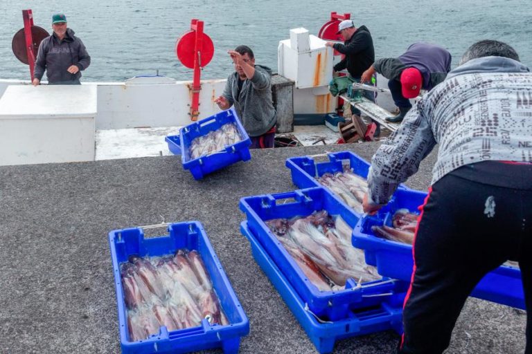 COVID-19: PESCA E AQUICULTURA JÁ PEDIRAM MAIS DE 18 ME EM CRÉDITOS