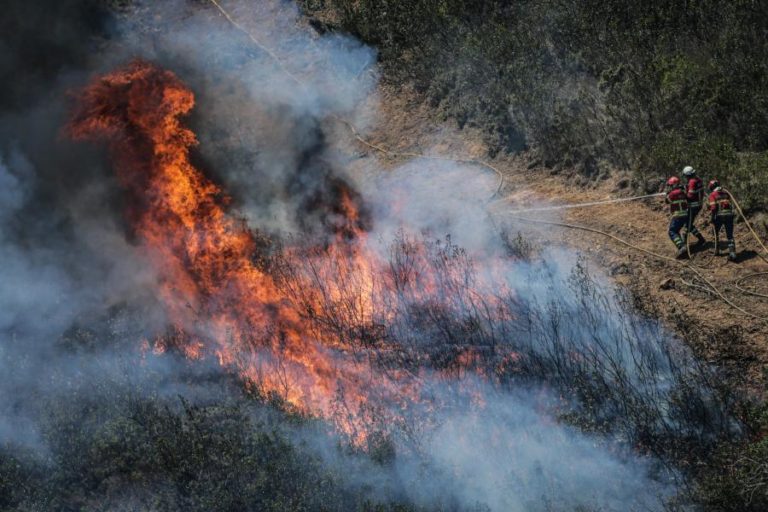 MAIS DE 60 CONCELHOS DE OITO DISTRITOS DO CONTINENTE EM RISCO MÁXIMO DE INCÊNDIO