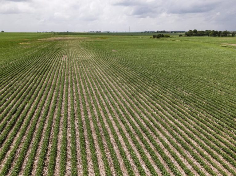 BRASIL PREPARADO PARA ALIMENTAR PARCELA DO MUNDO RESPEITANDO PADRÕES AMBIENTAIS – EMBAIXADOR
