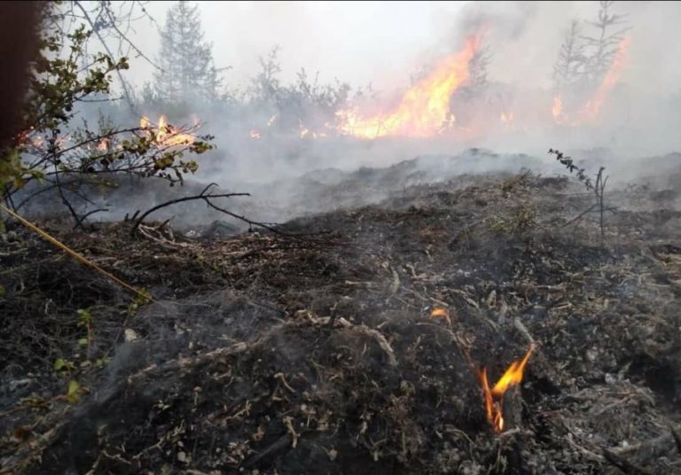 FOGOS NA SIBÉRIA PROVOCAM NÍVEIS DE EMISSÕES DE CO2 SEM PRECEDENTES