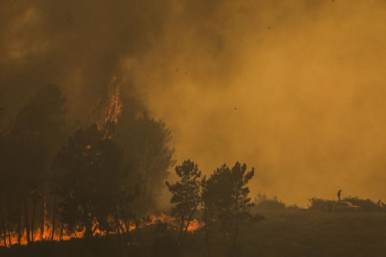 BOMBEIRO MORRE EM INCÊNDIO EM OLIVEIRA DE FRADES