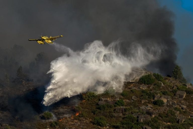 PROTEÇÃO CIVIL ALERTA PARA AUMENTO “MUITO GRANDE” DO RISCO DE INCÊNDIOS ATÉ TERÇA-FEIRA
