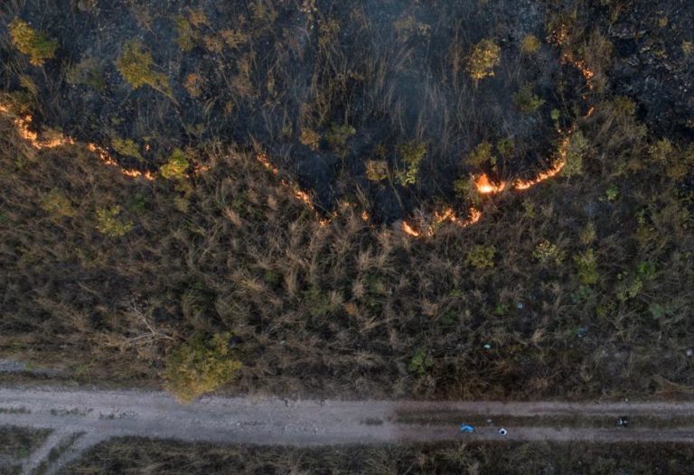 INCÊNDIOS NA AMAZÓNIA BRASILEIRA DIMINUEM EM AGOSTO MAS AUMENTAM NO PANTANAL