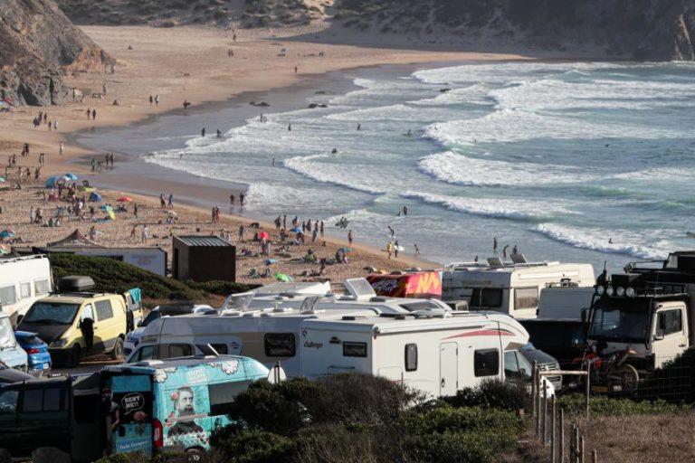 UNIVERSIDADE DE ÉVORA DESCOBRE NOVA ESPÉCIE DE PLANTA NA COSTA VICENTINA