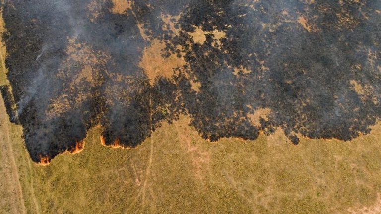 FOGO CONSOME O PANTANAL E EXPÕE INEFICIÊNCIA DE POLÍTICA AMBIENTAL DO BRASIL – ESPECIALISTAS