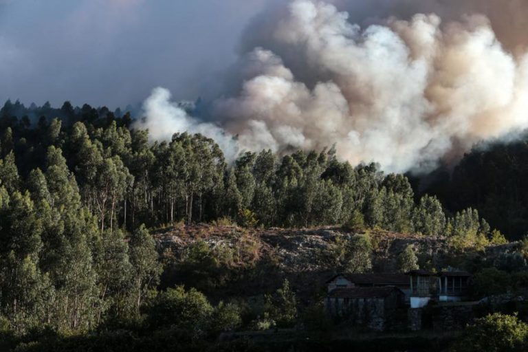 INCÊNDIO EM ALBERGARIA-A-VELHA DADO COMO DOMINADO – BOMBEIROS