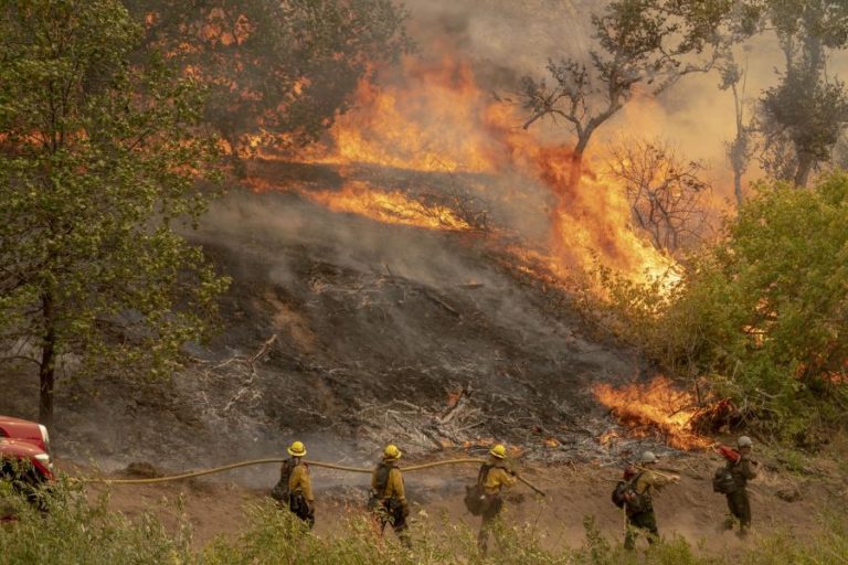 CHAMAS NA CALIFÓRNIA CONSOMEM ÁREA SEM PRECEDENTES DESDE 1987