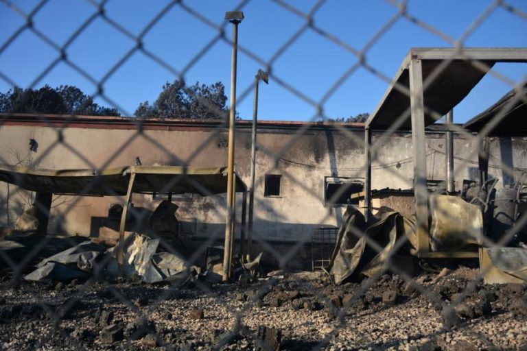 MIGRAÇÕES: BERLIM PEDE À UE QUE CUIDE DOS REFUGIADOS DE MORIA