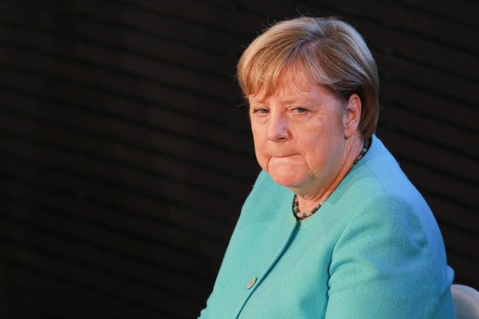 29556017.jpg