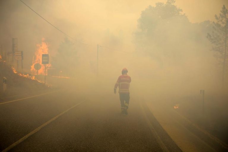 DOIS CONCELHOS DO DISTRITO DE FARO EM RISCO MÁXIMO DE INCÊNDIO