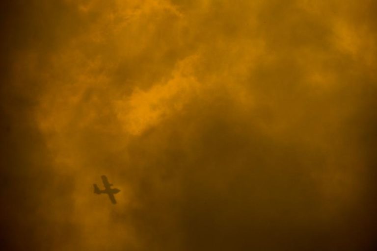 INCÊNDIOS: AUTARCA DE PROENÇA-A-NOVA REFERE “INSUFICIÊNCIA DE MEIOS” NA FASE INICIAL