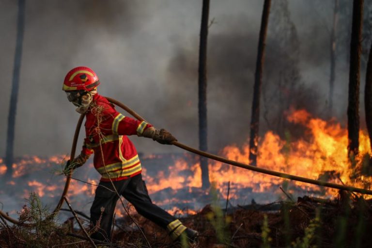 INCÊNDIOS:PROTEÇÃO CIVIL DIZ QUE FALTA DOMINAR 10% DO INCÊNDIO DE PROENÇA-A-NOVA
