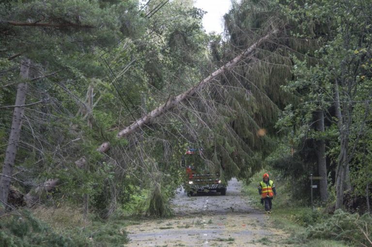 TEMPESTADE DEIXA 80.000 CASAS SEM ELETRICIDADE NA FINLÂNDIA E DIRIGE-SE PARA A CAPITAL