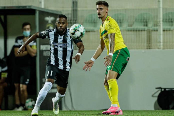 29633103.jpg
