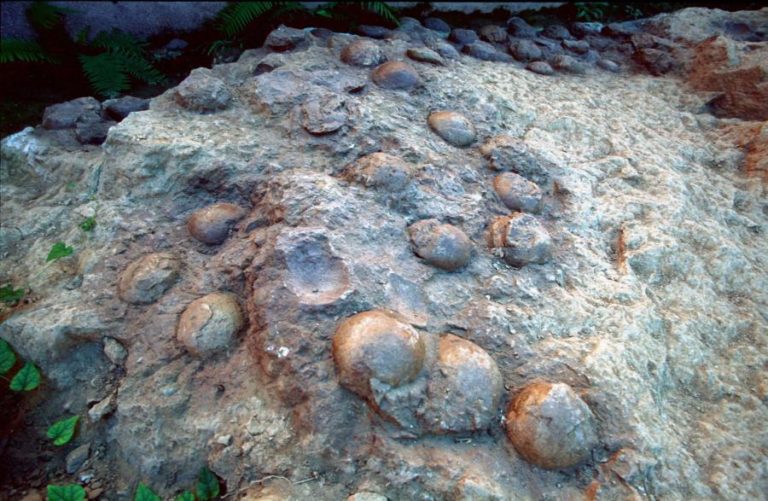 PALEONTÓLOGOS DESCOBREM OVOS DE DINOSSAUROS COM 68 MILHÕES DE ANOS NOS PIRENÉUS
