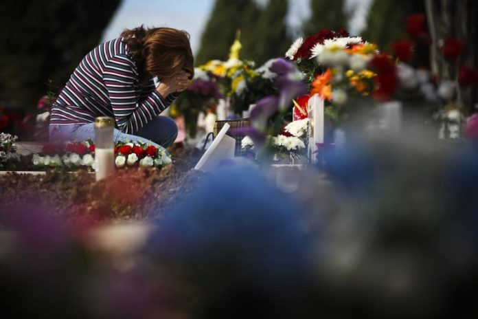 15234580.jpg