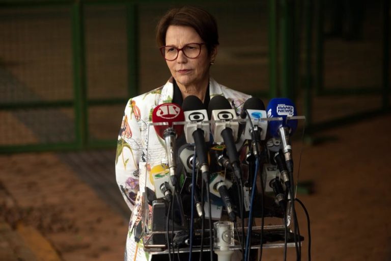 MINISTRA BRASILEIRA DIZ QUE DESASTRE NO PANTANAL SERIA MENOR SE EXISTISSE MAIS GADO