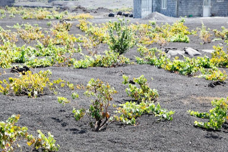 CABO VERDE QUER FAZER “BOA GESTÃO” E “TIRAR PROVEITO” DE RESERVAS MUNDIAIS DA BIOSFERA
