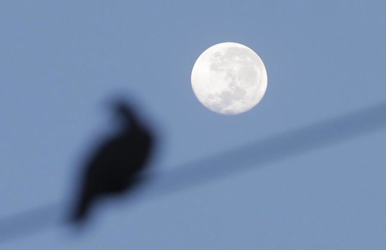NASA ANUNCIA DESCOBERTA DE MOLÉCULAS DE ÁGUA NA SUPERFÍCIE ILUMINADA DA LUA