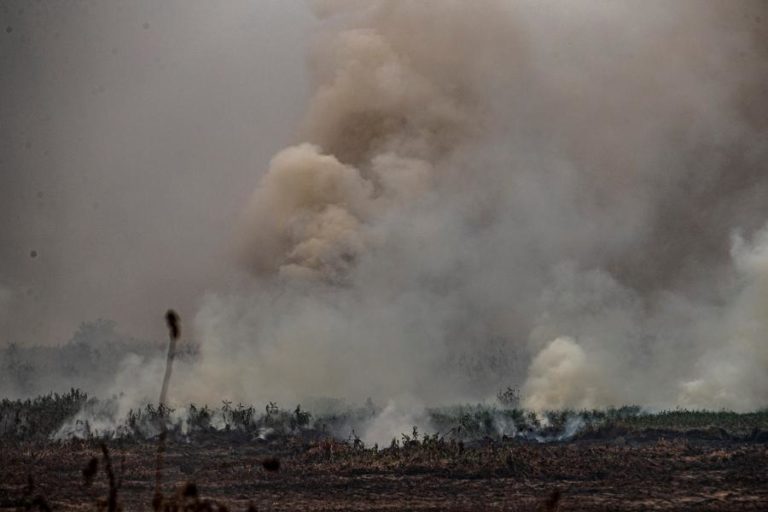 PANTANAL BRASILEIRO TEM OUTUBRO COM MAIS INCÊNDIOS DA HISTÓRIA