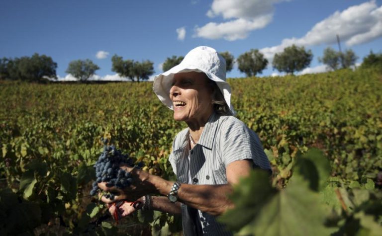 PORTUGAL EM 4.º LUGAR NA PRODUÇÃO DE VINHO DA UE COM 700 MILHÕES DE LITROS