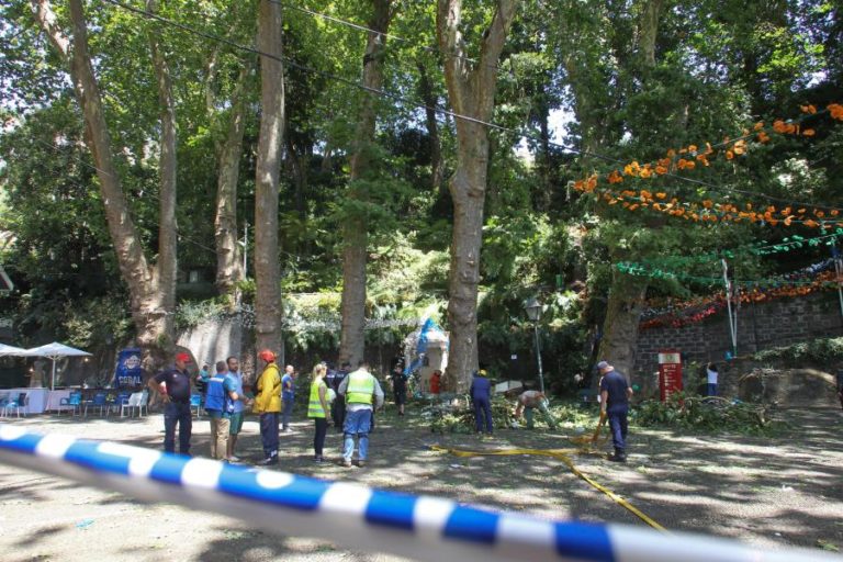 ARGUIDOS NO PROCESSO DA QUEDA DA ÁRVORE NA MADEIRA VÃO A JULGAMENTO