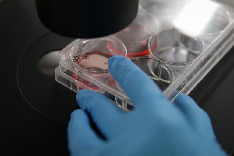 COVID-19: REGENERON AUTORIZADA A USAR TRATAMENTO COM ANTICORPOS MONOCLONAIS NOS EUA