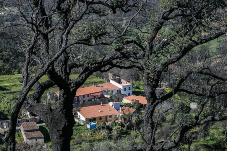 EDP DISTRIBUIÇÃO E COLABORADOR ACUSADOS NO PROCESSO DO FOGO DE 2018 EM MONCHIQUE