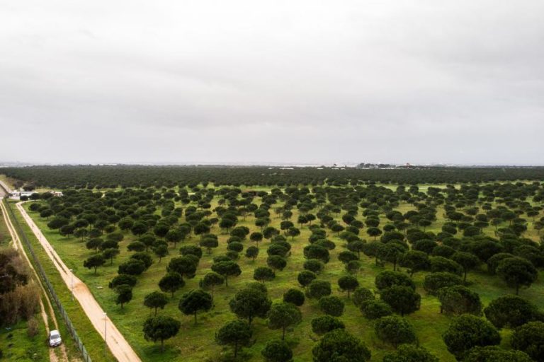 OE2021: GOVERNO TERÁ DE FAZER AVALIAÇÃO AMBIENTAL ESTRATÉGICA SOBRE NOVO AEROPORTO