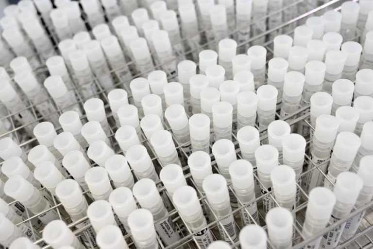 COVID-19: POLÍCIA MOÇAMBICANA DETÉM HOMEM INDICIADO POR FALSIFICAÇÃO DE TESTES