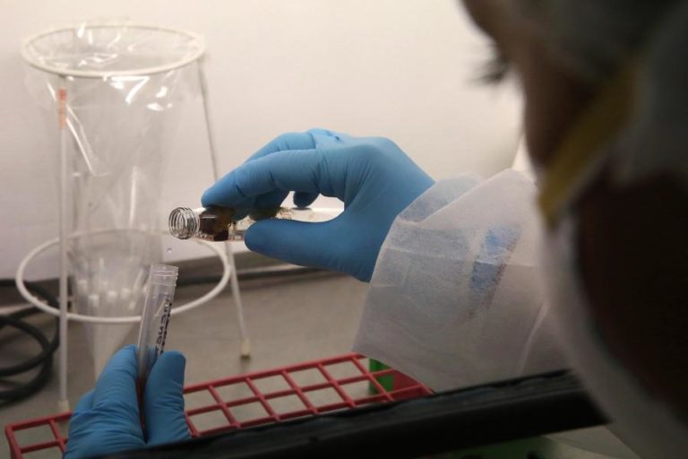 COVID-19: LAR EM MINDE, ALCANENA, COM 158 INFETADOS E DOIS MORTOS CONFIRMADOS