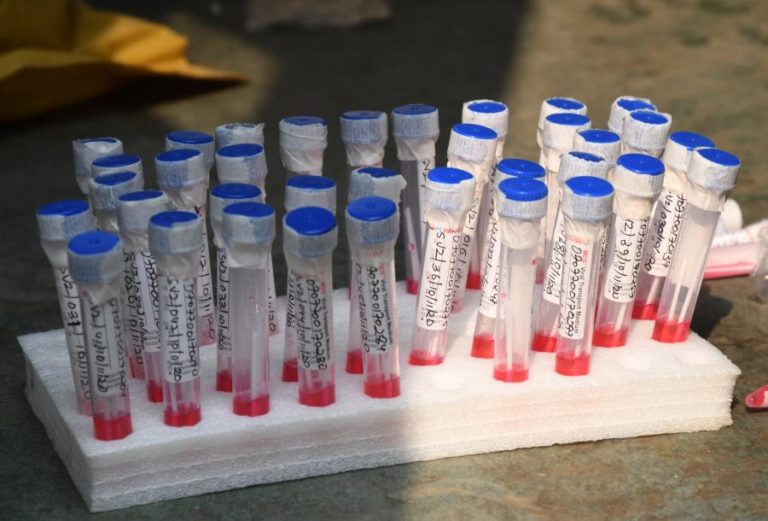 COVID-19: ÍNDIA COM 44.879 CASOS E 547 MORTOS NAS ÚLTIMAS 24 HORAS