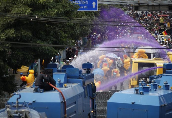 30044054.jpg