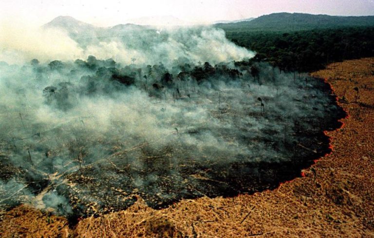 DESFLORESTAÇÃO DA AMAZÓNIA CRESCEU MAIS DE 50% EM OUTUBRO NO BRASIL