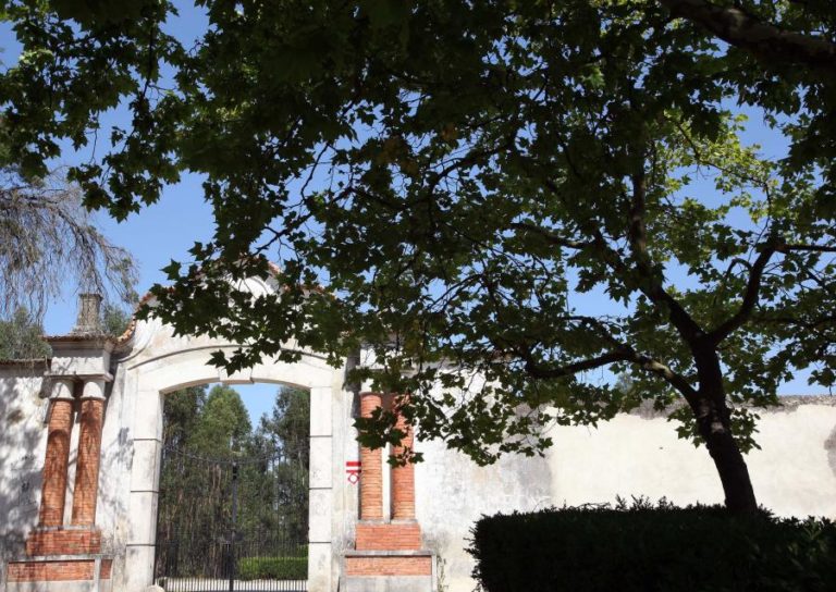 HERDADE DA TORRE BELA APRESENTA QUEIXA-CRIME CONTRA PROMOTORES DA MONTARIA QUE MATOU 540 ANIMAIS