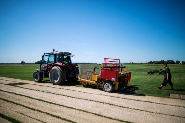 COVID-19: MADEIRA AVANÇA COM 3 ME A FUNDO PERDIDO PARA AGRICULTORES E EMPRESAS