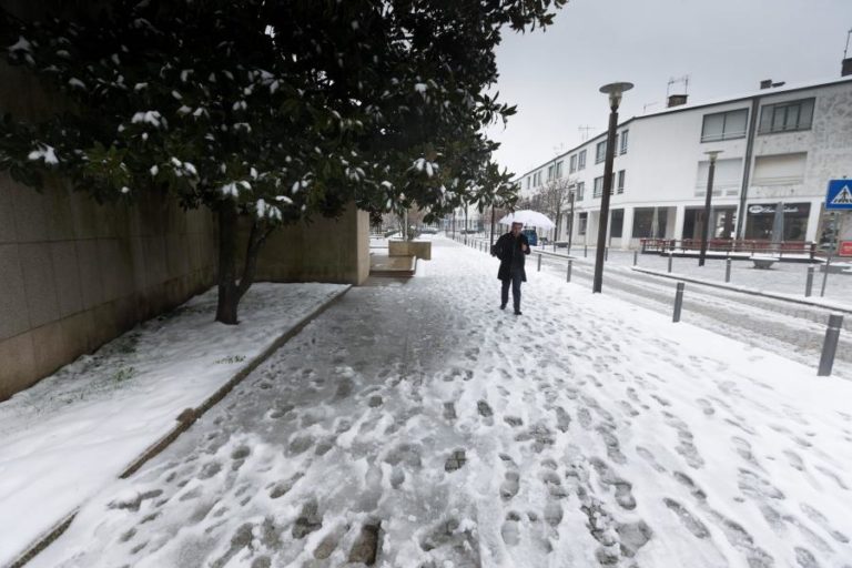 PROTEÇÃO CIVIL REGISTOU 44 OCORRÊNCIAS DE QUEDA DE NEVE E ÁRVORES