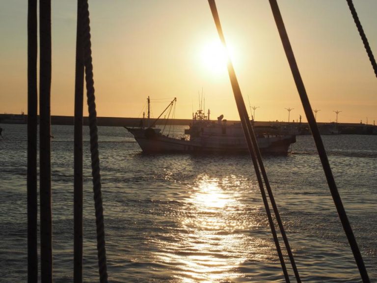 FUNDO MARÍTIMO EUROPEU DESTINA 5.300 ME À GESTÃO DA PESCA, AQUICULTURA E FROTAS ATÉ 2027