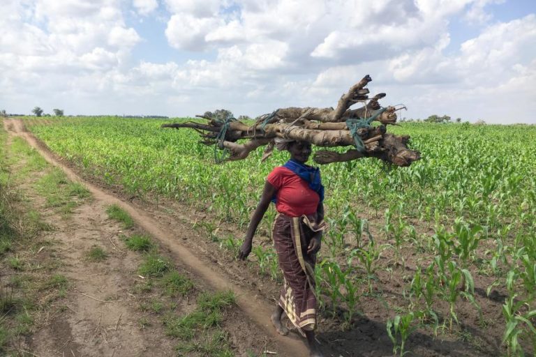 FITCH DECIDE MANTER ‘RATING’ DE MOÇAMBIQUE EM CCC