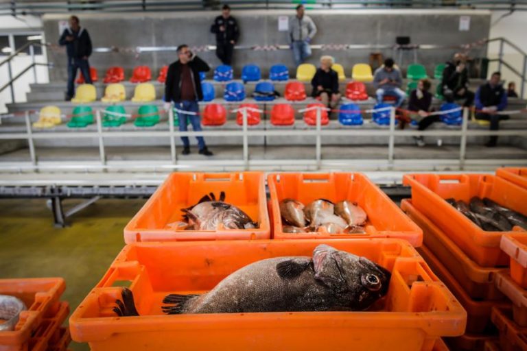 PORTUGUESES VÃO TER MENOS PESCADO FRESCO DE ÁGUAS NACIONAIS EM 2021 – PRODUTORES
