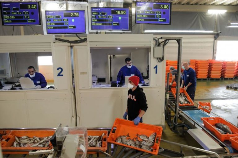 COVID-19: PESCADO CONGELADO COM QUEBRAS DE 40% NA EXPORTAÇÃO E 20% NAS VENDAS INTERNAS