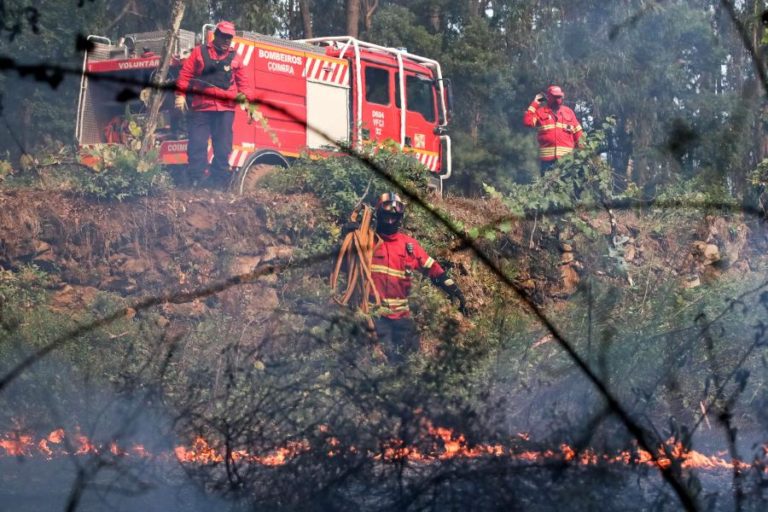 PROJETO INTERNACIONAL OBTÉM 10 ME PARA ESTUDO DE GRANDES INCÊNDIOS FLORESTAIS
