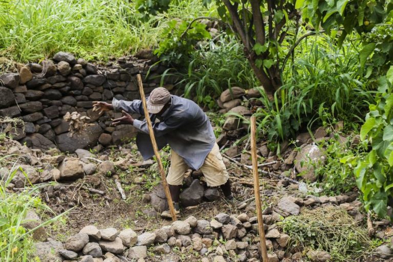 HUNGRIA EMPRESTA 35 MEURO A CABO VERDE E QUER PARCERIA ESTRATÉGICA COM O ARQUIPÉLAGO