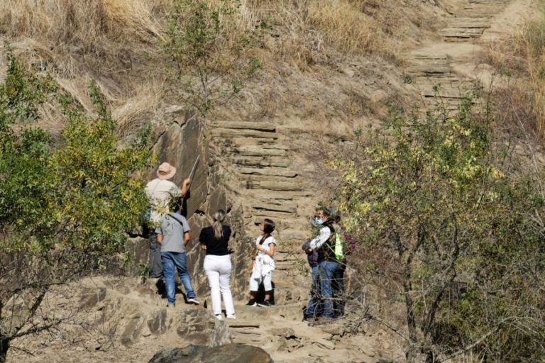 DGPC E FUNDAÇÃO COM 18 MESES PARA CRIAR PROGRAMA ESPECIAL DO PARQUE ARQUEOLÓGICO DO CÔA