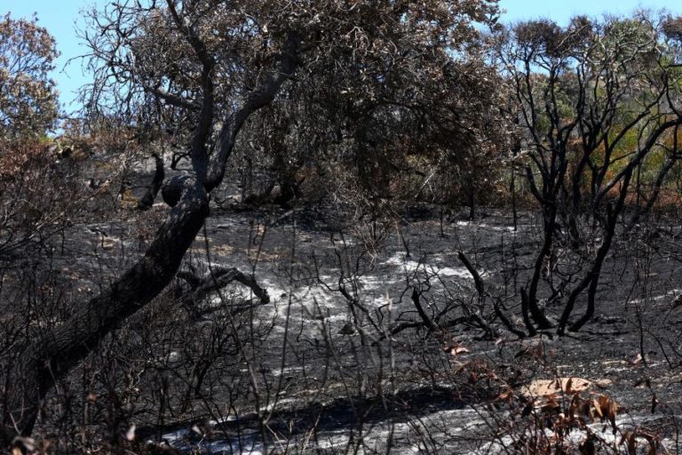 METADE DE ILHA AUSTRALIANA CLASSIFICADA PELA UNESCO DESTRUÍDA POR INCÊNDIO