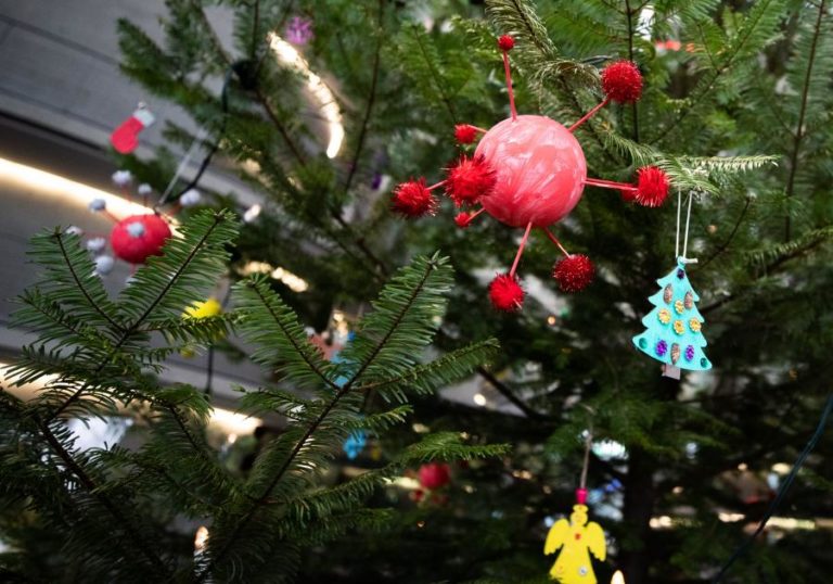 COVID-19: GOVERNO DOS AÇORES PREPARA VISITAS DE FAMILIARES A LARES DE IDOSOS NO NATAL