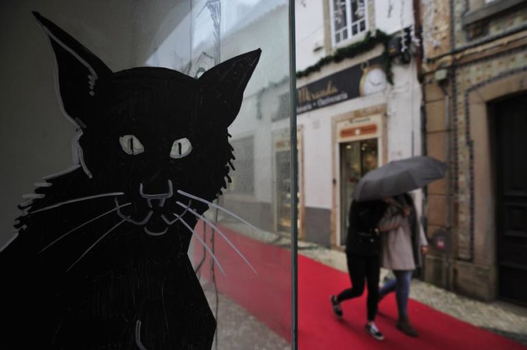 ILUSTRAÇÕES EM MONTRAS DE LOJAS FECHADAS DINAMIZAM CENTRO HISTÓRICO DE TORRES VEDRAS